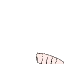 pat