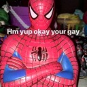 :gayspidey: