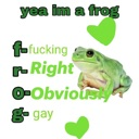 :frog:
