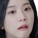 JisooDisbelief JisooDisbelief
