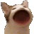 Pop Cat popcat Discord Emoji