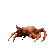 CrabRave