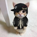 :gothcat: