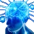 bigbrain