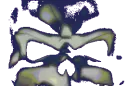 skulllaughing