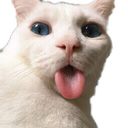 billu_tease Discord emoji