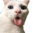 billu_tease