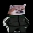 swagrudra
