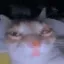 suh