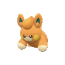 921