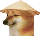 r_xenxenviet