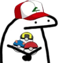 WaitingForPokemon