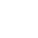 LEV