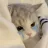 SimpCord_KittySad