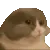 eat