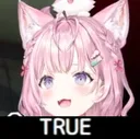 koyoMTLtrue