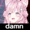 koyoMTLdamn