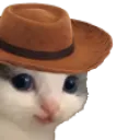 Meowdy meowdy Discord Emoji