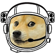 space_doge