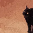Screeee
