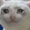 CryCat