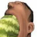 melon melon