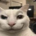 bob
