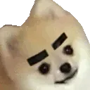 funeyebrows