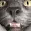 yousmellbad