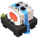 Cry_aarha