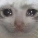 catsad