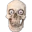 insane_skull