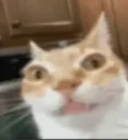 eyye