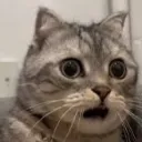 nekoemoji_9