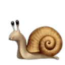 snailhype