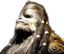 chief