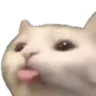 blep