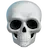 skull2