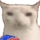 chipcat