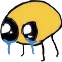 Cri