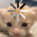 nothoughts Discord emoji