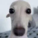 emoji_23