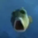 GASP