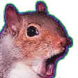 tgbxSquirrel tgbxSquirrel
