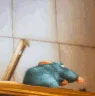 RemyGag2