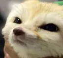 iknowwhatyoudid iknowwhatyoudid