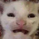 emoji_34