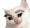 fabsad