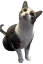 :mousewhy:
