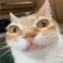 whar